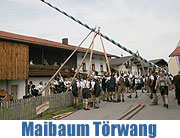 Maibaum 2010 in Törwang (©Foto: Anton Hötzelsperger)